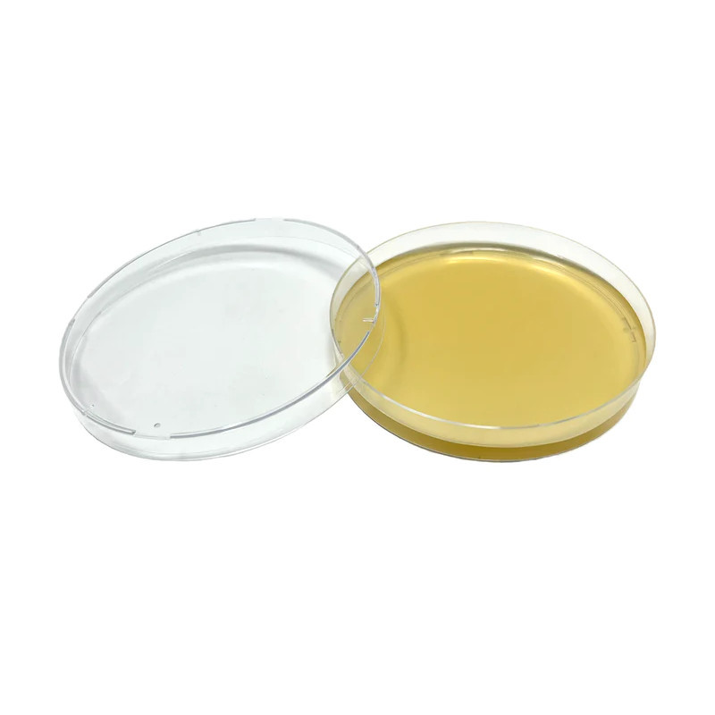 Malt Yeast Agar Petri Dish MycoSupplies