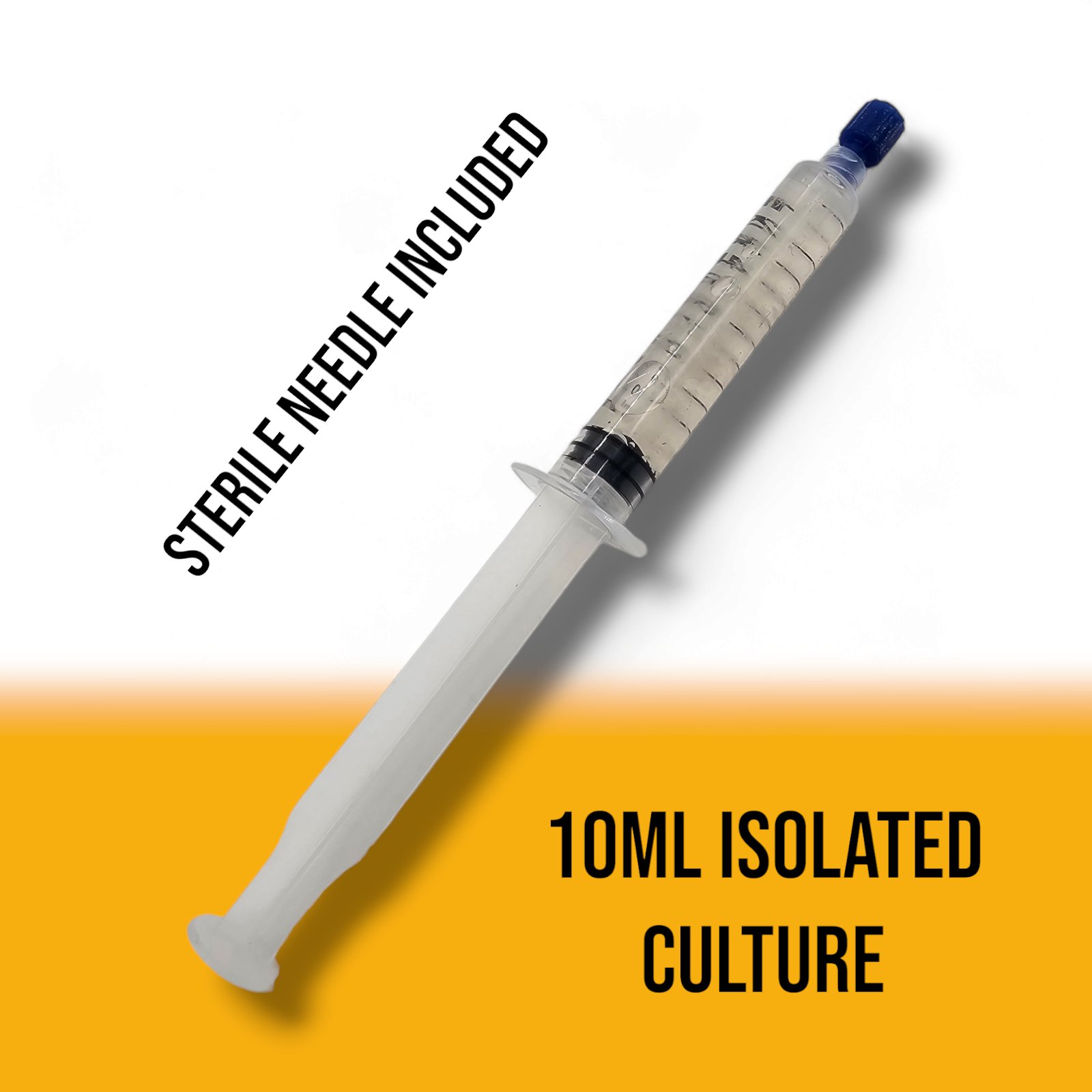 Golden Teacher Liquid Culture Syringe - MycoSupplies