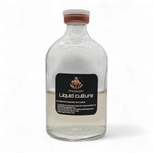 50ml - Liquid Culture Vial