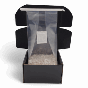 APE221 Magic Mushroom Growkit - Image 4