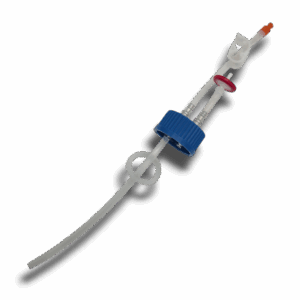 Liquid culture jar complete. - Image 3