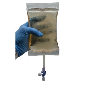 Bulk Liquid Culture IV Bags (Colonized)